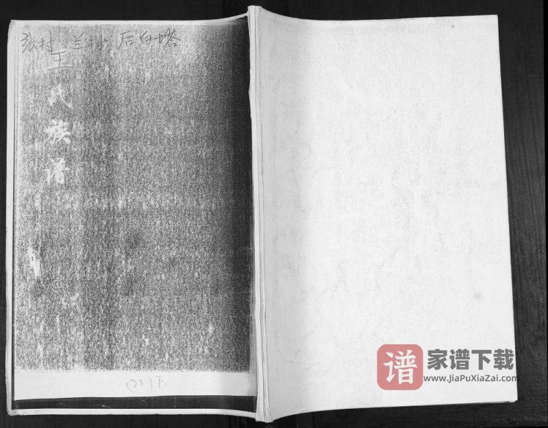 山东青岛张村蓝村后白塔王氏族谱PDF高清电子版下载-家谱下载