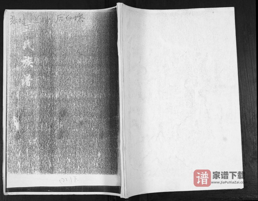 图片[1]-山东青岛张村蓝村后白塔王氏族谱PDF高清电子版下载-家谱下载