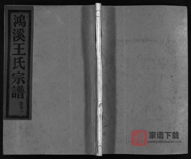 浙江乐清大溪王氏宗谱PDF高清电子版下载-家谱下载