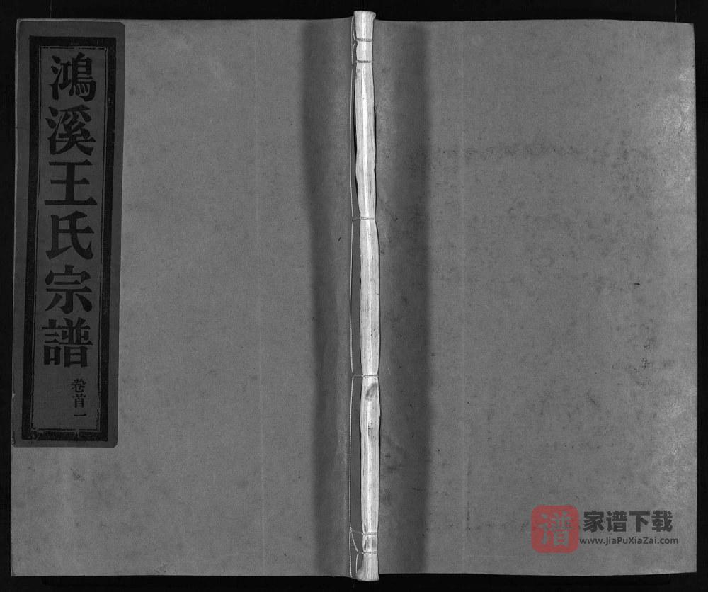 图片[1]-浙江乐清大溪王氏宗谱PDF高清电子版下载-家谱下载