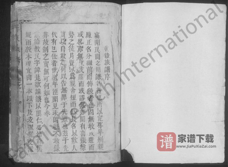 江西九江湖口彭泽王氏族谱PDF高清电子版下载-家谱下载