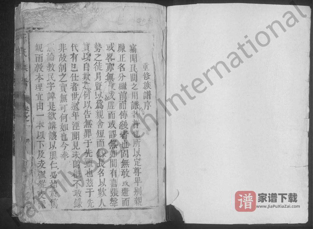 图片[1]-江西九江湖口彭泽王氏族谱PDF高清电子版下载-家谱下载