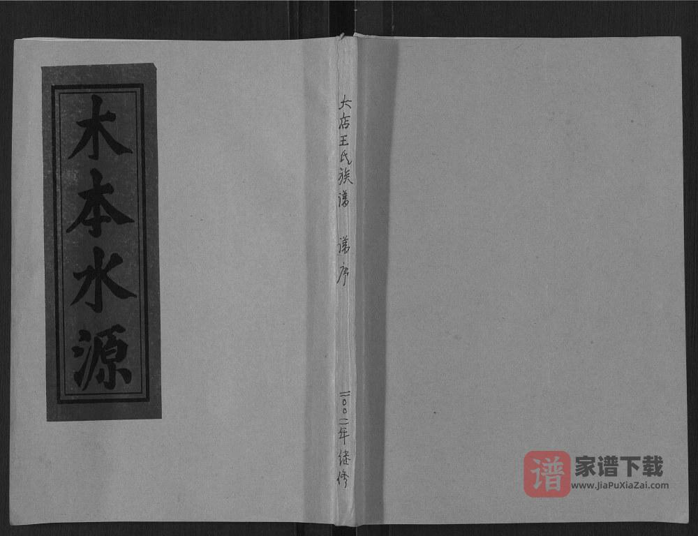 图片[1]-山东日照莒县鲁莒大店王氏族谱PDF高清电子版下载-家谱下载