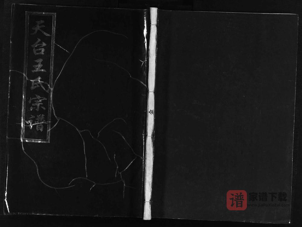 图片[1]-浙江台州天台县王氏宗谱PDF高清电子版下载-家谱下载