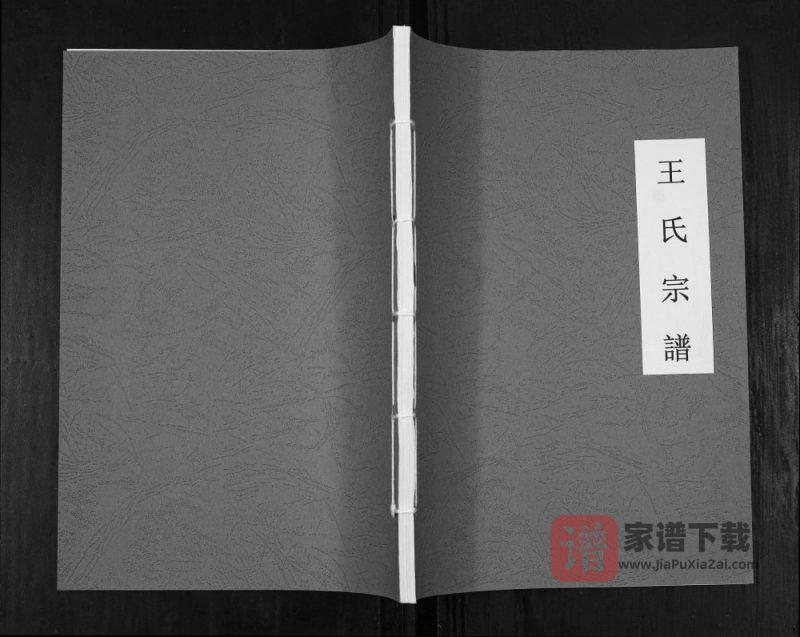 贵州仁怀王氏宗谱PDF高清电子版下载-家谱下载