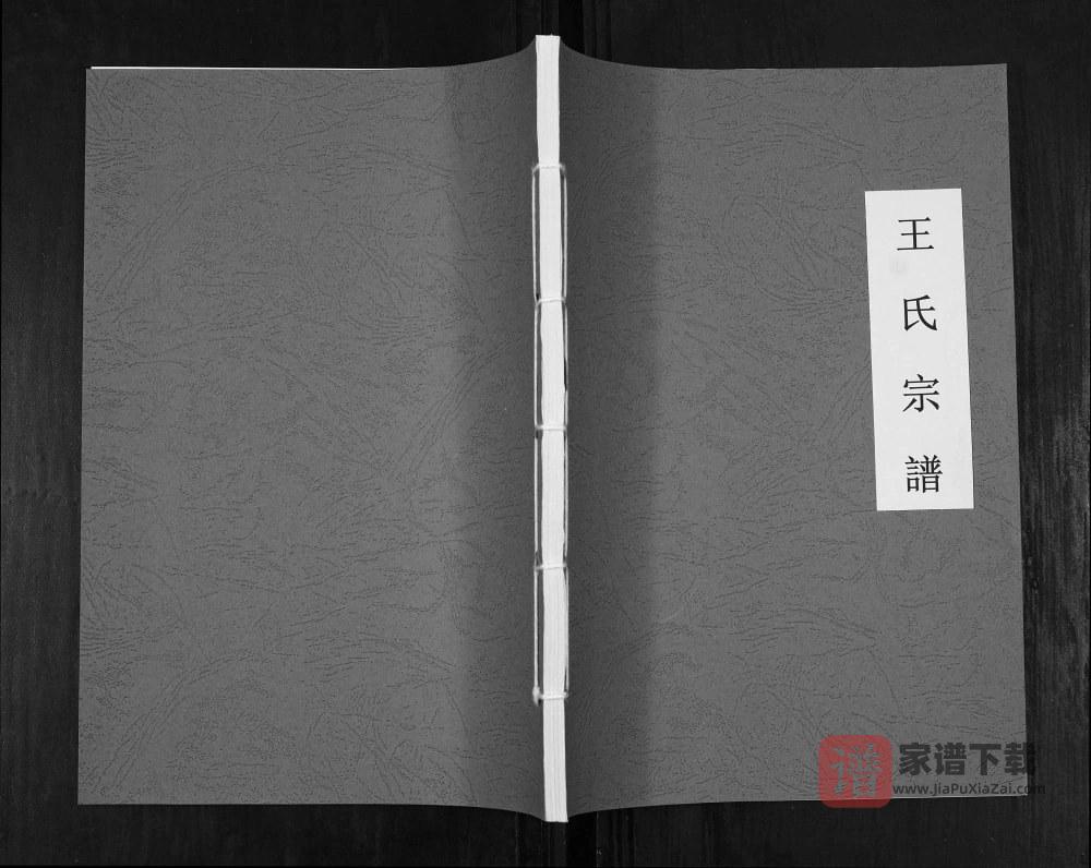图片[1]-贵州仁怀王氏宗谱PDF高清电子版下载-家谱下载