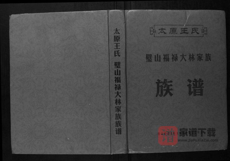 重庆璧山区太原王氏璧山福禄大林家族族谱PDF高清电子版下载-家谱下载