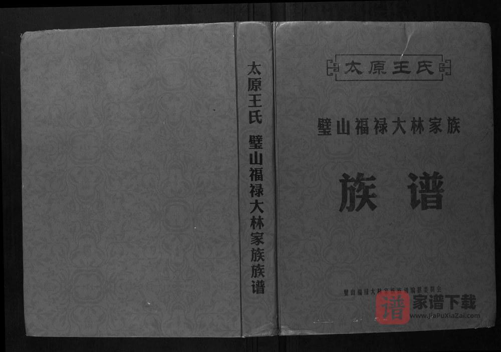 图片[1]-重庆璧山区太原王氏璧山福禄大林家族族谱PDF高清电子版下载-家谱下载