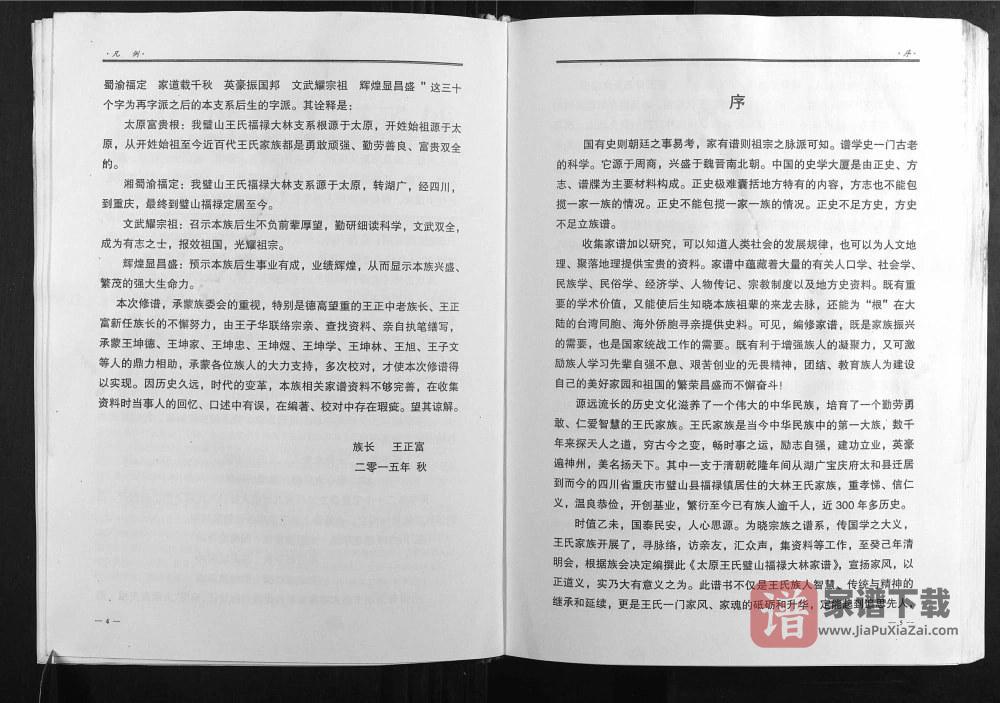 图片[2]-重庆璧山区太原王氏璧山福禄大林家族族谱PDF高清电子版下载-家谱下载