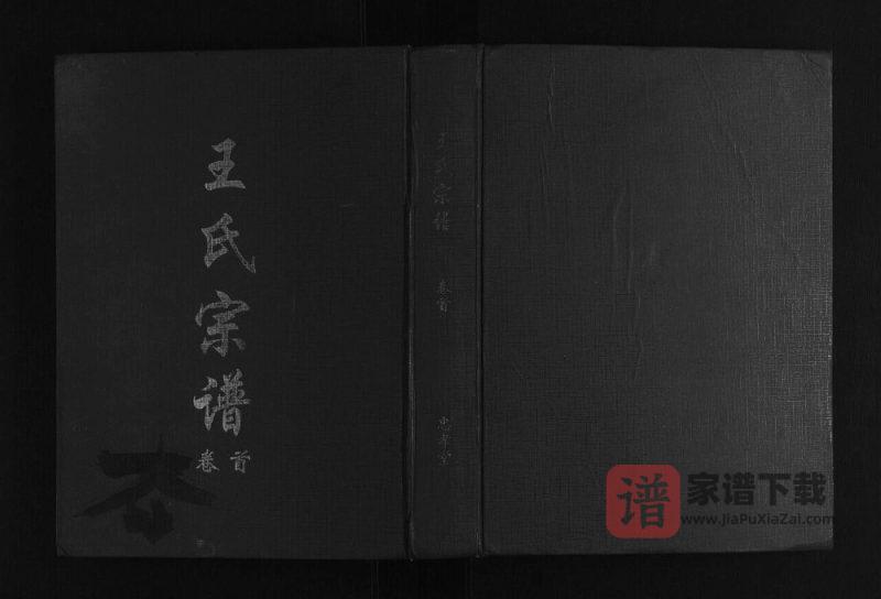江西九江德安县王氏宗谱(忠孝堂)PDF高清电子版下载-家谱下载