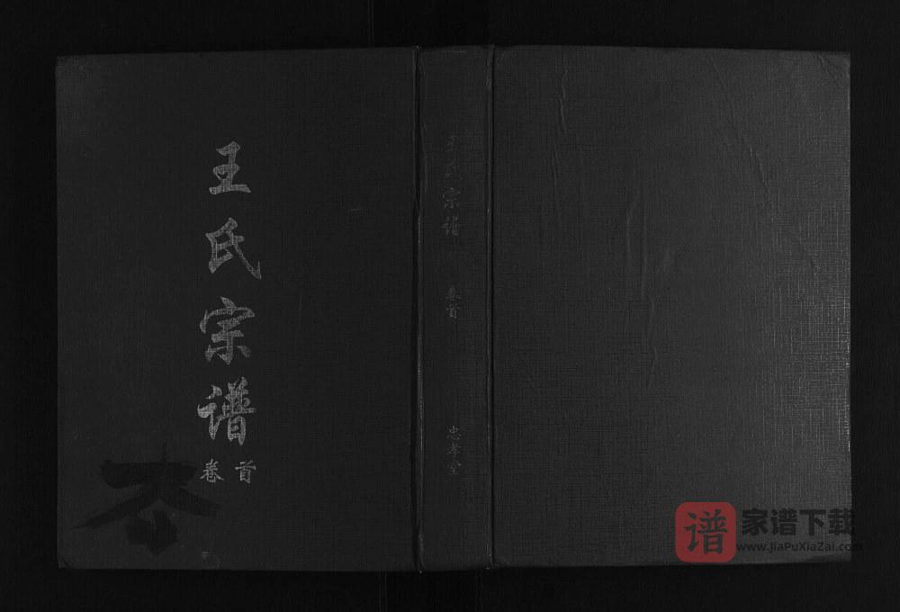 图片[1]-江西九江德安县王氏宗谱（忠孝堂）PDF高清电子版下载-家谱下载