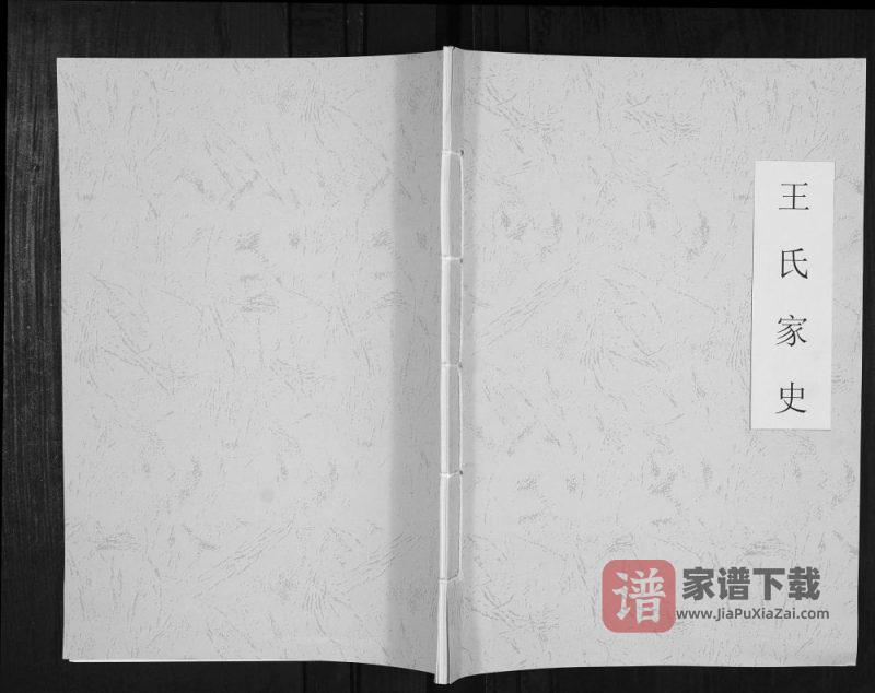 贵州黔西南安龙县王氏家史PDF高清电子版下载-家谱下载