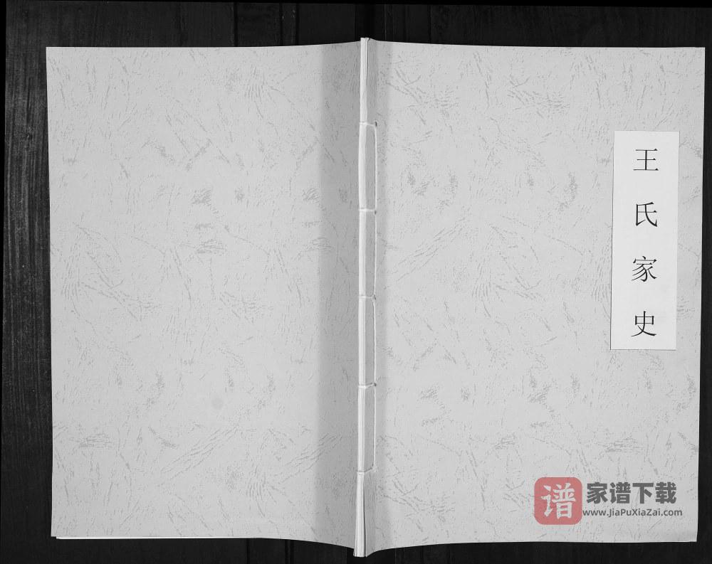 图片[1]-贵州黔西南安龙县王氏家史PDF高清电子版下载-家谱下载