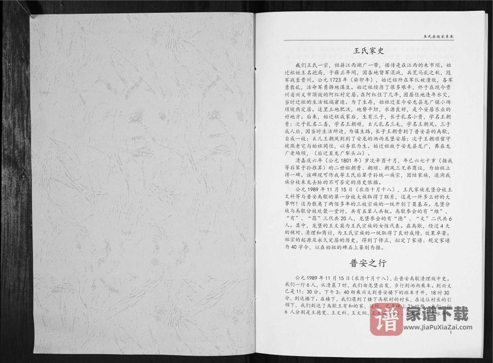 图片[2]-贵州黔西南安龙县王氏家史PDF高清电子版下载-家谱下载