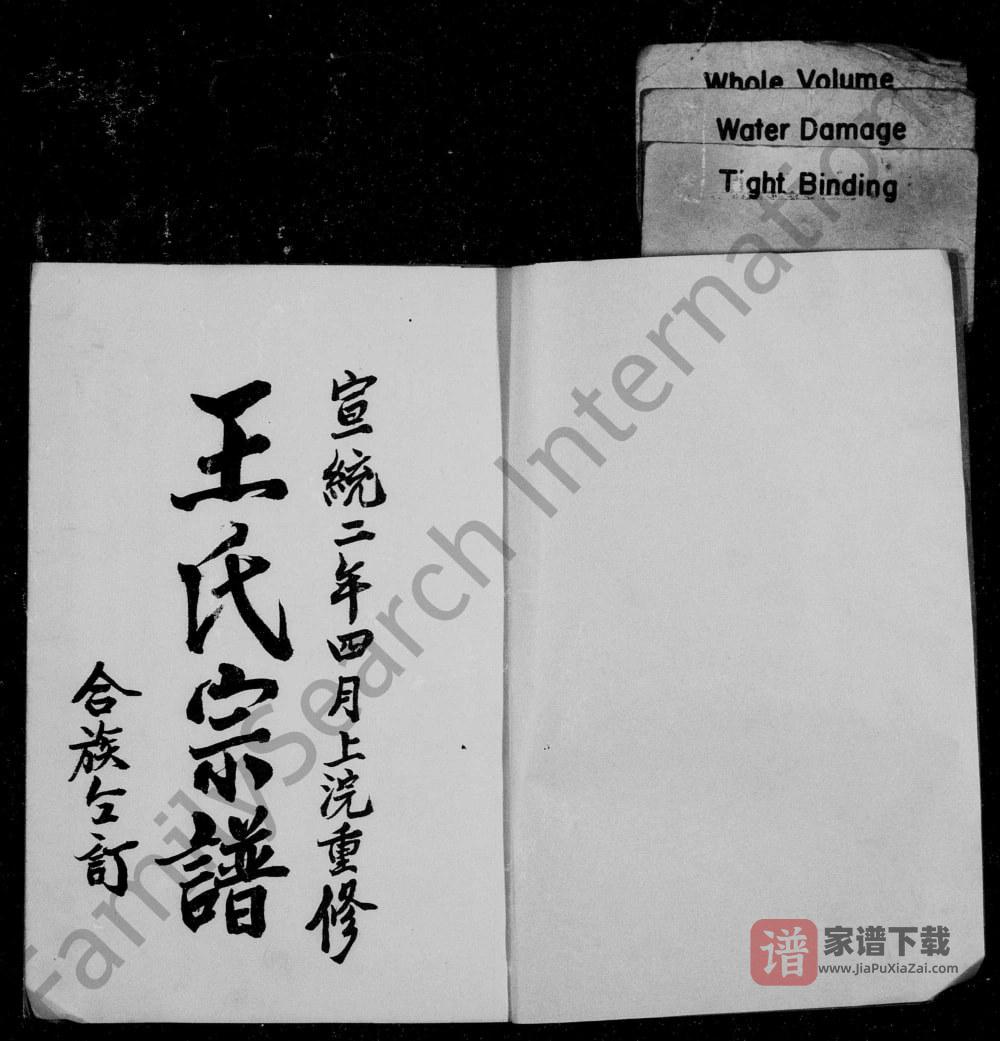图片[2]-四川资阳王氏宗谱PDF高清电子版下载-家谱下载