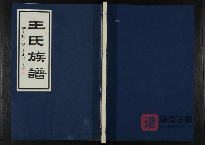 江苏泰兴王氏族谱PDF高清电子版下载-家谱下载
