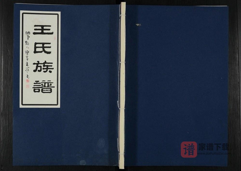 图片[1]-江苏泰兴王氏族谱PDF高清电子版下载-家谱下载