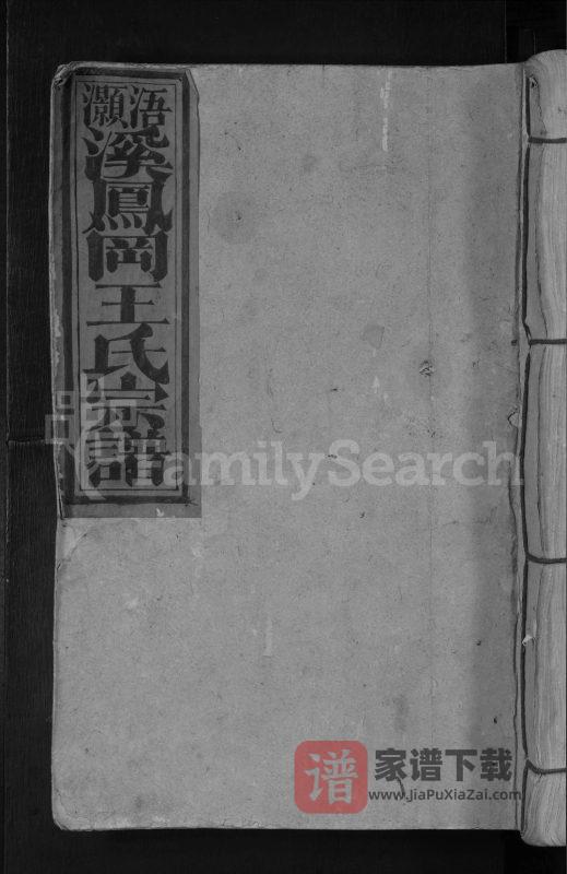 江西赣州宁都县浯灏溪凤冈王氏宗谱PDF高清电子版下载-家谱下载