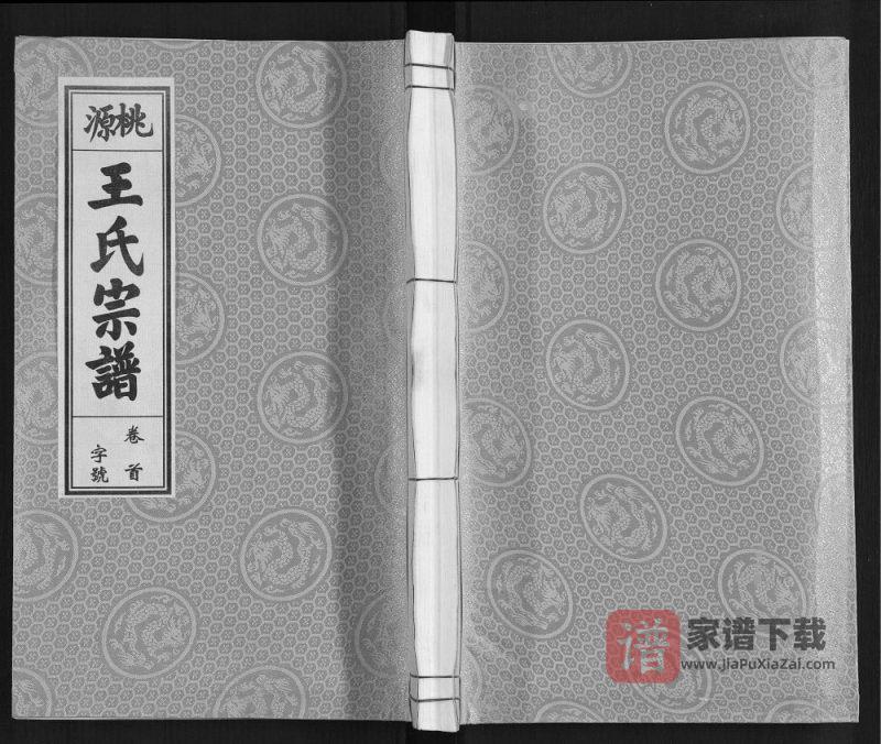安徽合肥庐江县桃源王氏宗谱(三槐堂)PDF高清电子版下载-家谱下载