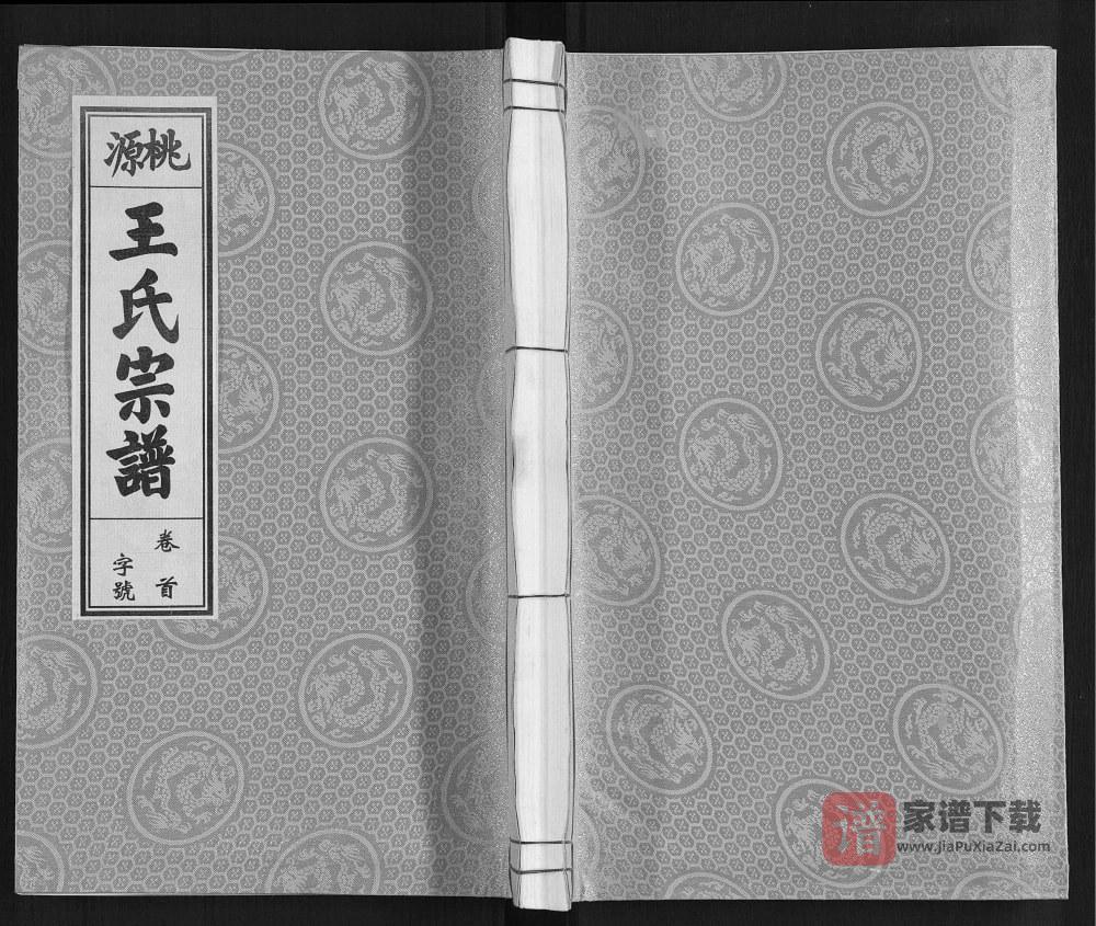 安徽合肥庐江县桃源王氏宗谱（三槐堂）PDF高清电子版下载