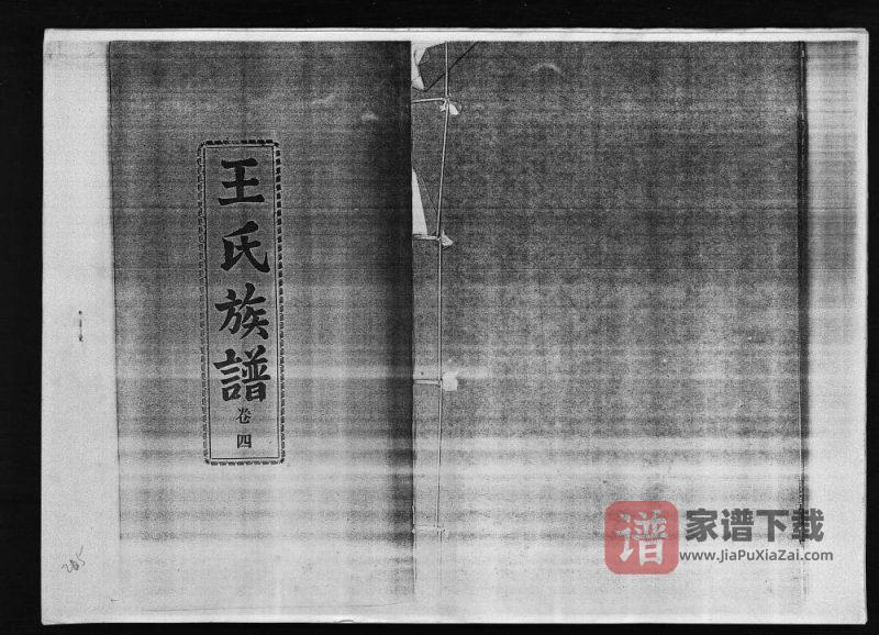 海南定安王氏族谱附王忠铭公年谱(复亨堂)PDF高清电子版下载-家谱下载