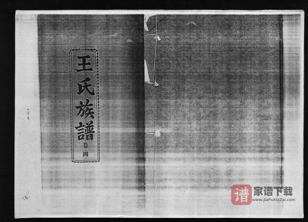 海南定安王氏族谱附王忠铭公年谱（复亨堂）PDF高清电子版下载