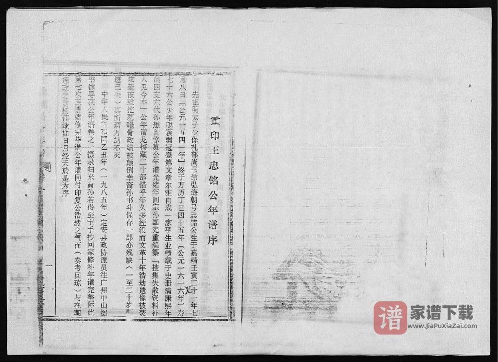 图片[2]-海南定安王氏族谱附王忠铭公年谱（复亨堂）PDF高清电子版下载-家谱下载
