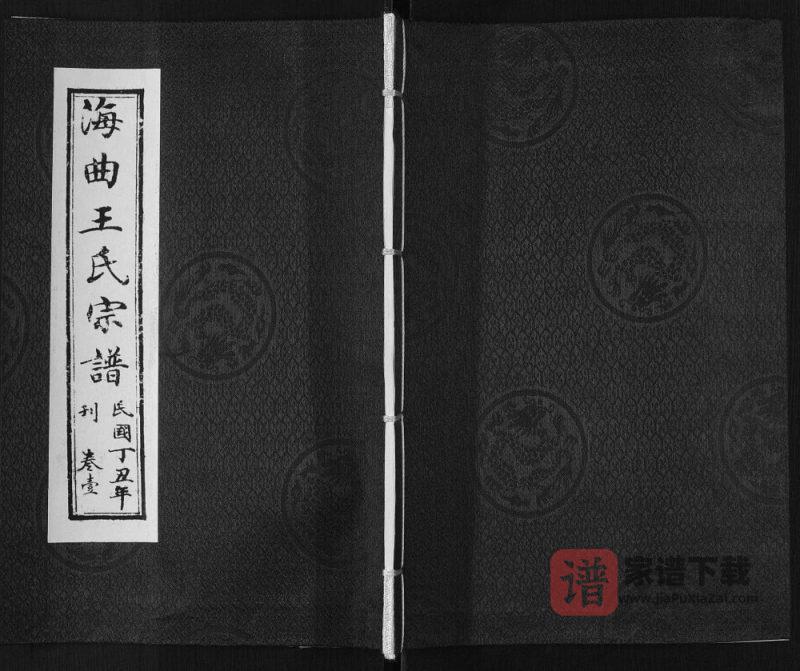 山东日照海曲王氏宗谱PDF高清电子版下载-家谱下载