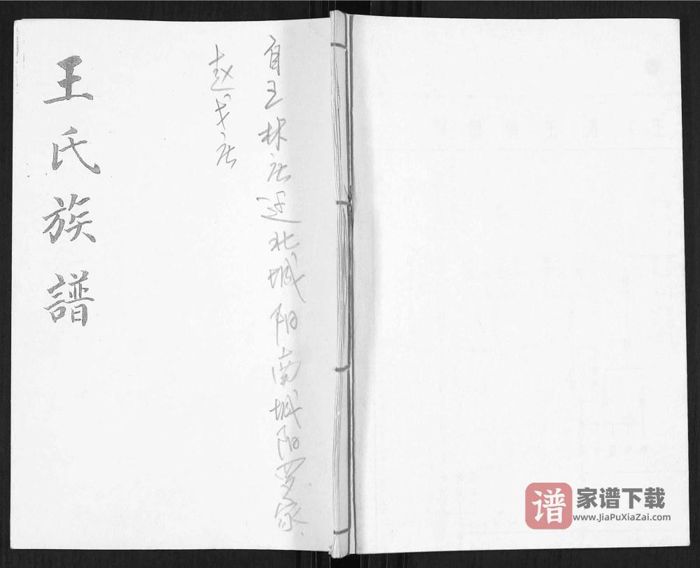 山东青岛城阳区王氏族谱PDF高清电子版下载