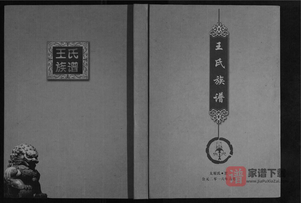 四川南充仪陇王氏族谱PDF高清电子版下载