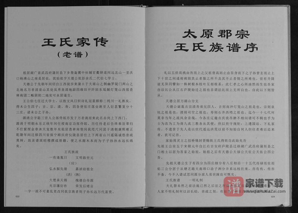 图片[2]-四川南充仪陇王氏族谱PDF高清电子版下载-家谱下载