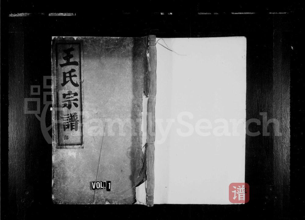 浙江丽水缙云县木栗王氏宗谱PDF高清电子版下载