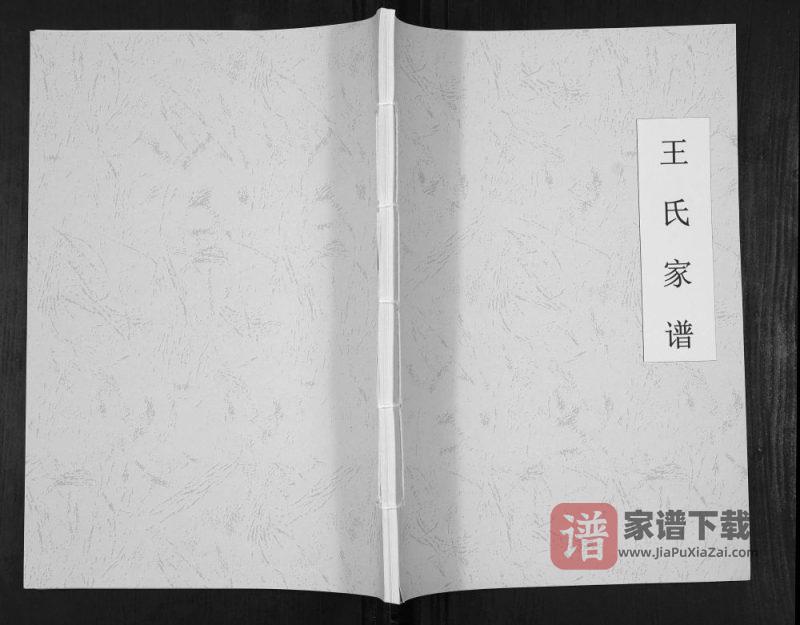 贵州安顺紫云县王氏家谱（太原堂）PDF高清电子版下载-家谱下载