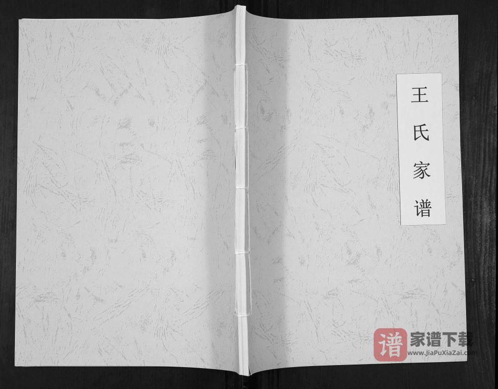 贵州安顺紫云县王氏家谱（太原堂）PDF高清电子版下载