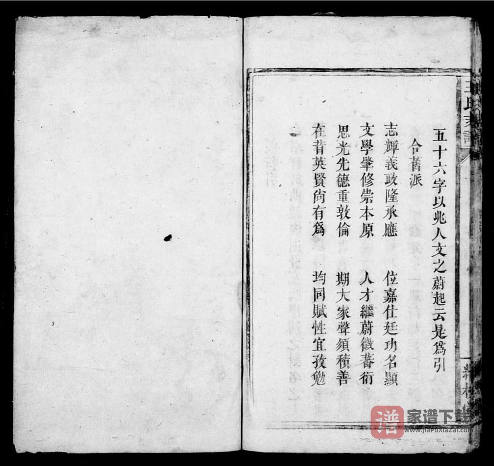 图片[2]-湖南湘乡上湘东塘平王氏支谱（继槐堂）PDF高清电子版下载-家谱下载