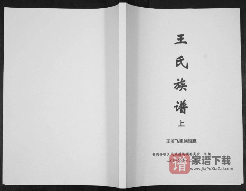 贵州安顺普定县王氏族谱(三槐堂)PDF高清电子版下载-家谱下载