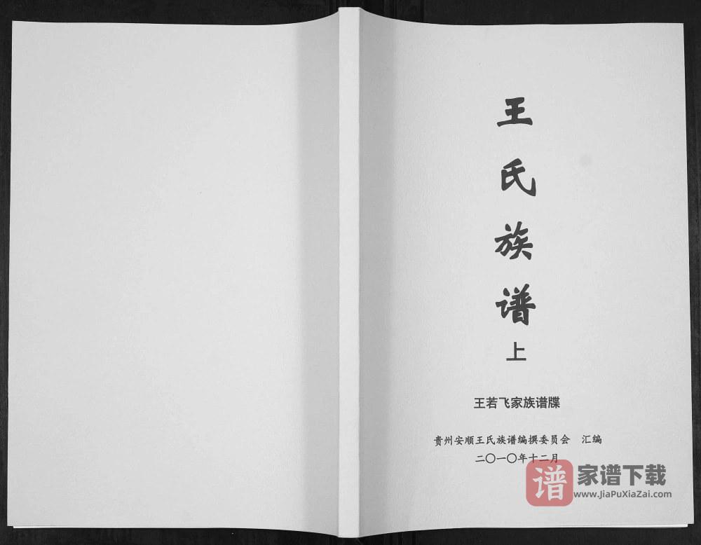 贵州安顺普定县王氏族谱（三槐堂）PDF高清电子版下载