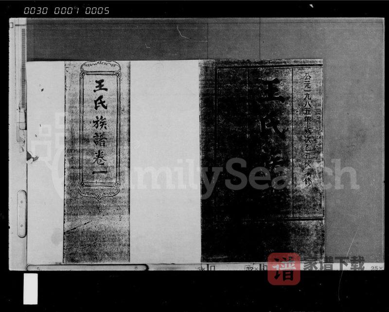 海南琼海王氏族谱（尊三堂）PDF高清电子版下载-家谱下载