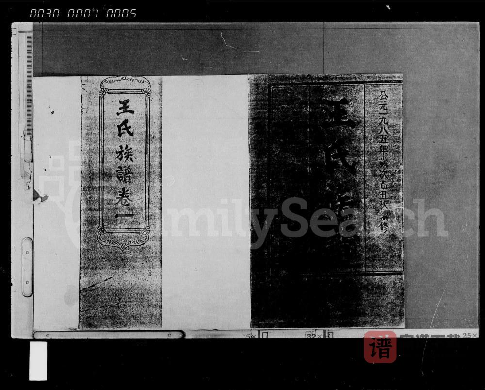 海南琼海王氏族谱（尊三堂）PDF高清电子版下载