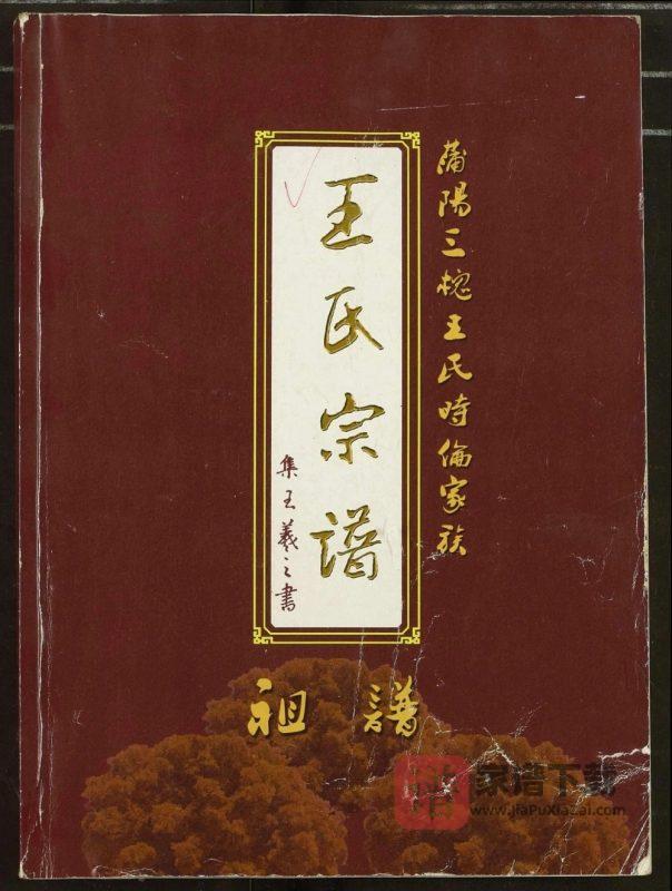 湖北应城蒲阳三槐王氏时伦家族王氏宗谱（三槐堂）PDF高清电子版下载-家谱下载