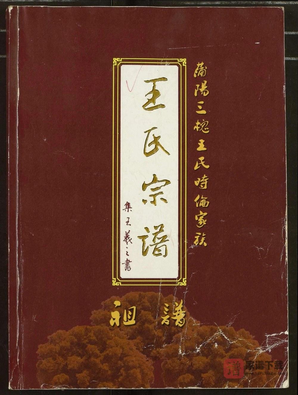湖北应城蒲阳三槐王氏时伦家族王氏宗谱（三槐堂）PDF高清电子版下载