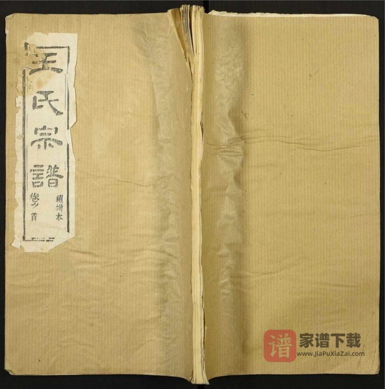 湖北武汉新洲区王氏宗谱（槐荫堂）PDF高清电子版下载-家谱下载