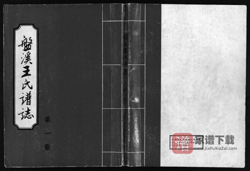 浙江东阳盘溪王氏谱志PDF高清电子版下载-家谱下载
