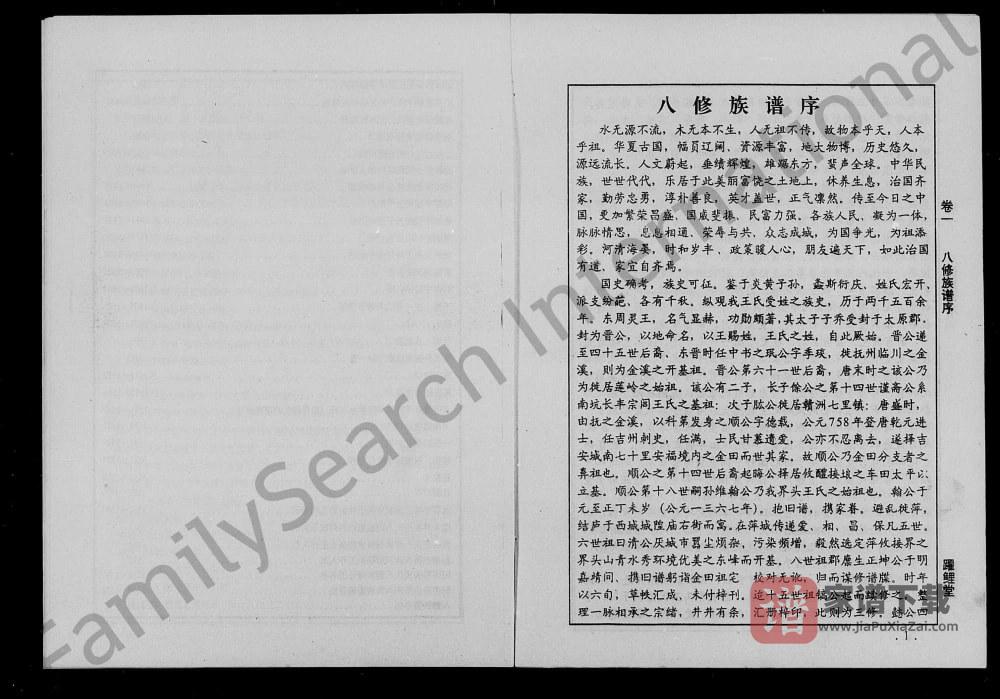 图片[2]-江西萍乡昭萍界头王氏八修族谱（跃鲤堂）PDF高清电子版下载-家谱下载
