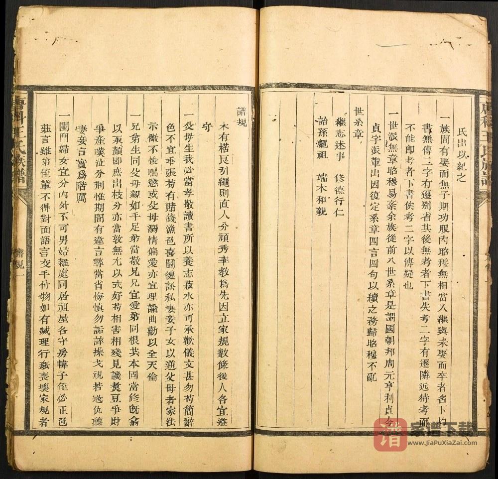 图片[2]-福建南平建阳区唐科王氏族谱PDF高清电子版下载-家谱下载