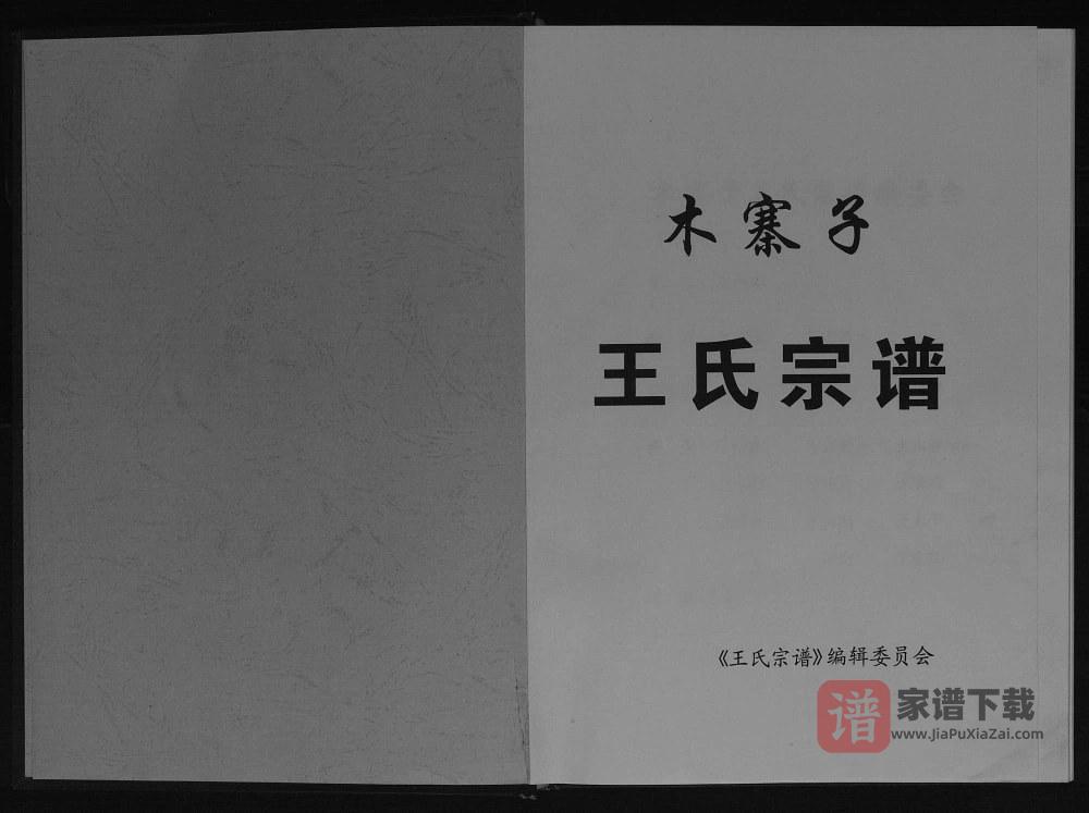 四川巴中平昌县木寨子王氏宗谱PDF高清电子版下载