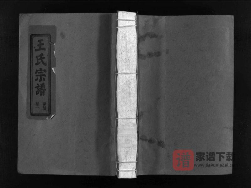 浙江乐清左原王氏宗谱PDF高清电子版下载-家谱下载