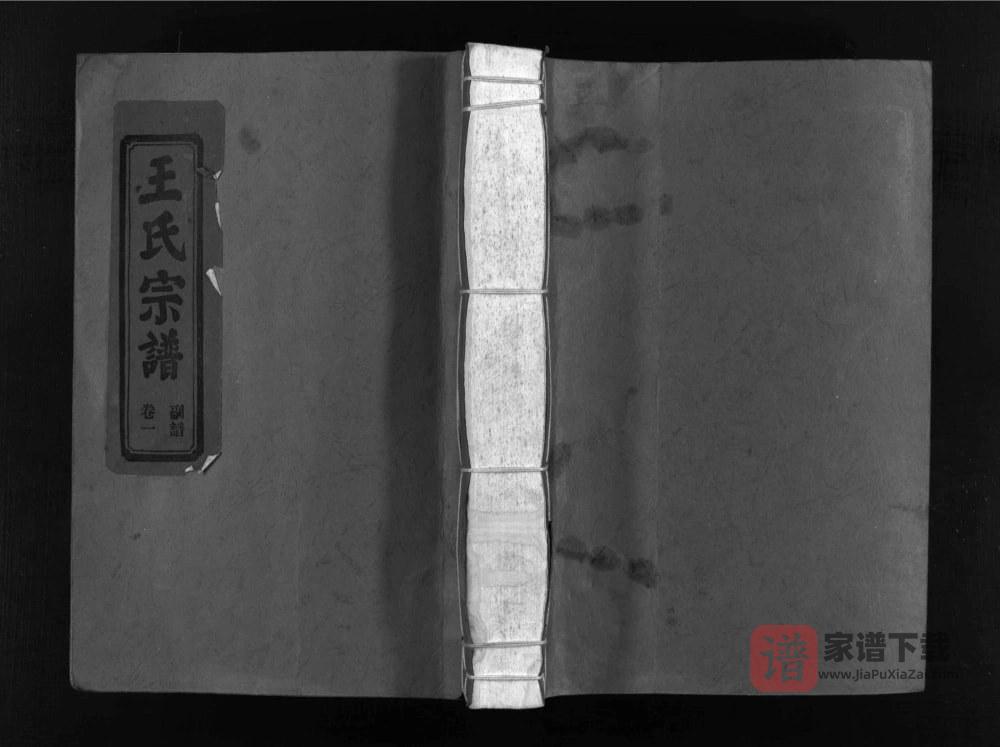 浙江乐清左原王氏宗谱PDF高清电子版下载