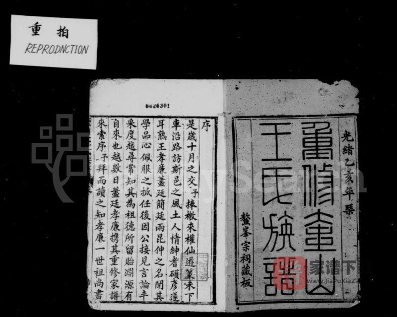 福建莆田仙游县奎山王氏族谱PDF高清电子版下载-家谱下载