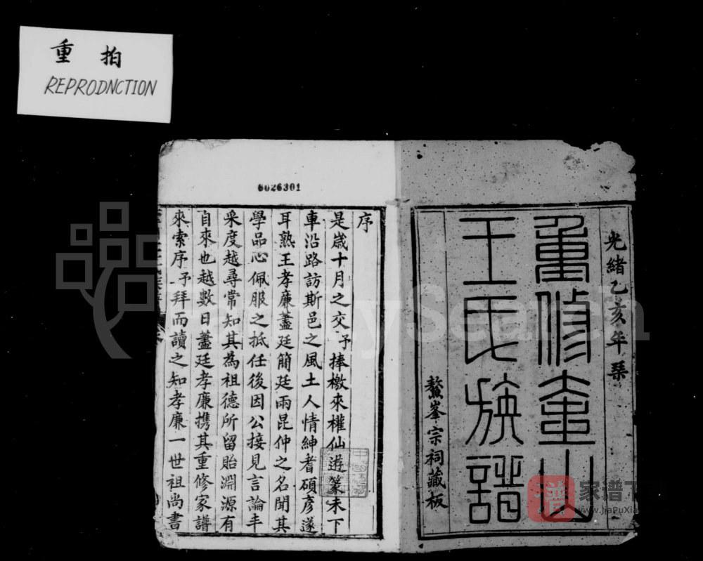 福建莆田仙游县奎山王氏族谱PDF高清电子版下载